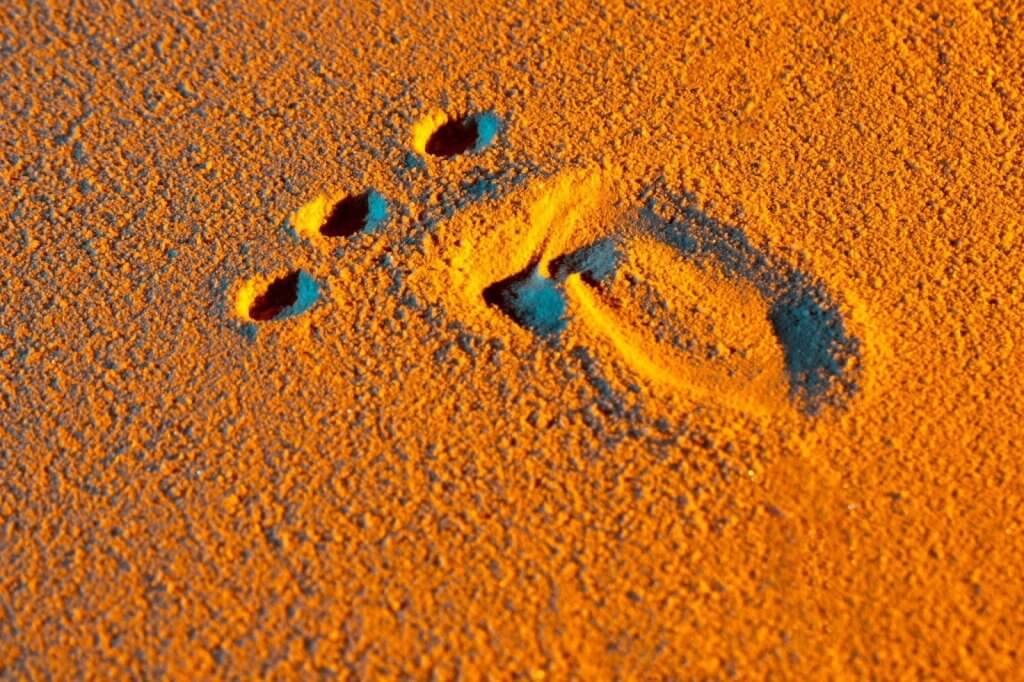 Protecting Your Online Footprint — Steps to Make Profiles Harder to Locate 1 image